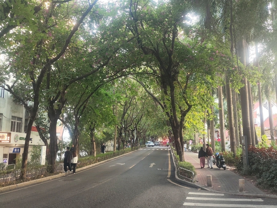Artistic Utopia, OCT Loft Creative Culture Park in Shenzhen