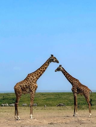 การเดินทางท่องเที่ยวหลายประเทศ ทั้งเคนยาและประเทศอื่นๆ ในช่วงปิดเทอมฤดูหนาว ฟังดูน่าตื่นเต้นมาก!