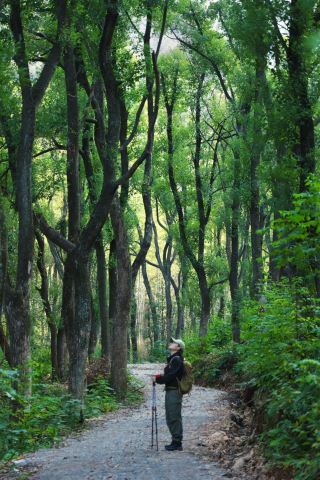 Changsha Hiking | Xiangyuan Forest Light, a Green Wonderland Hidden in the City