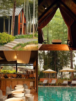 Top-rated homestay in Anji! Making ceramics and living the Nordic dream in a bamboo forest