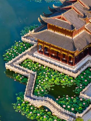 Jingdezhen's 300 Million-Year-Old Secret Realm