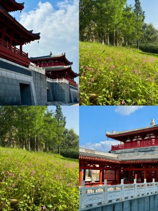 Back from Dazhou and feeling refreshed. After 3 days of exploring, my perspective on spending completely changed