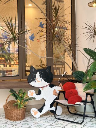 Today at the cat cafe 🐾