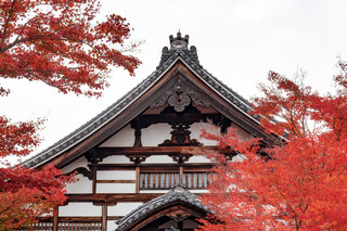 京都小眾賞楓地高台寺人少景美秒殺清水寺!