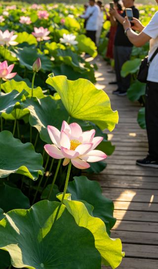 강변 청량한 바람, 도시의 숨은 물놀이 명소