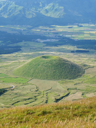 Japan tours for seniors for an average of 3,000+ per person—have a blast