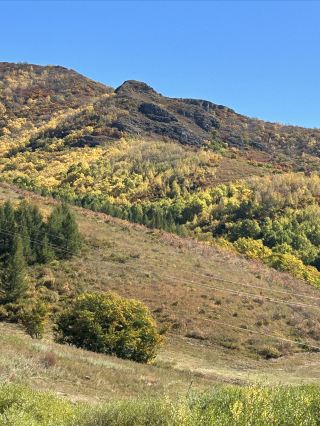 Milituba autumn scenery is stunning: red as fire, yellow as gold, and green as jade