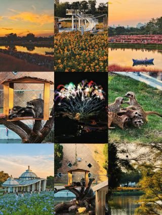 สวน Expo น่านหนิง (Nanning Garden Expo Park) เข้าสู่ช่วงที่สวยที่สุดในการเข้าชมแล้ว