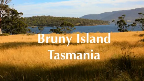 A stunning, secluded island: A healing trip to Bruny Island — traveler post in Australia