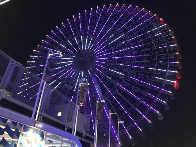 오사카 덴포잔 대관람차 🇯🇵❣️