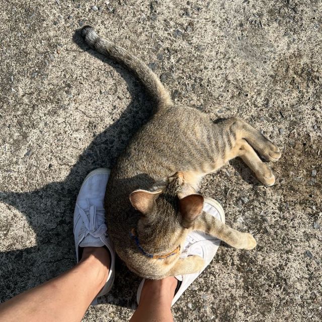 สุดแผ่นดินตะวันออก แหลมงอบ จ.ตราด