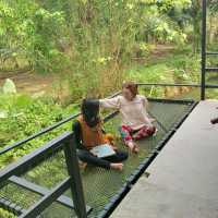 เรือนกระดังงา  ณ.วังสายทอง 