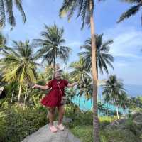 John Suwan View point 