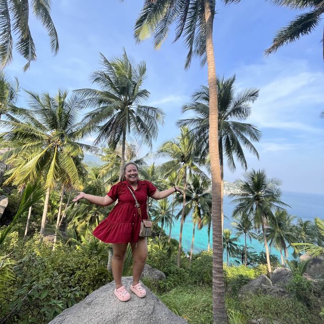 John Suwan View point 