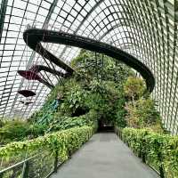 Cloud Forest & Flower Dome - Singapore