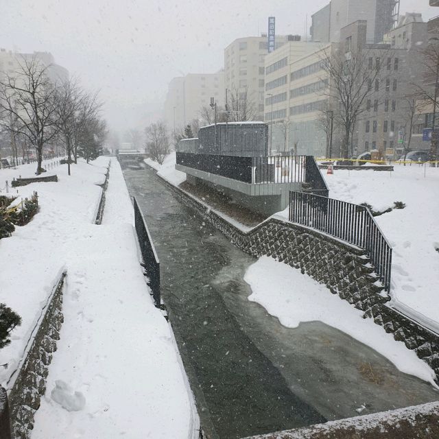 삿포로의 냉장고 니조시장과 홋카이도 명물 우니동 카이센동