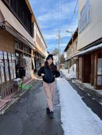 東京近郊🍀舊輕井澤銀座通小食、Miffy專門店、特色咖啡廳集中地