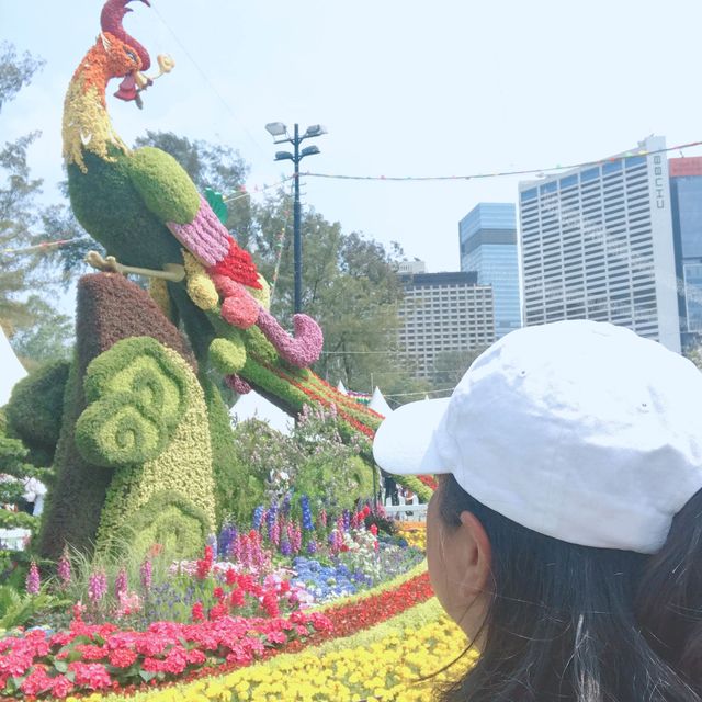 Flower Show 2023 hongkong 
