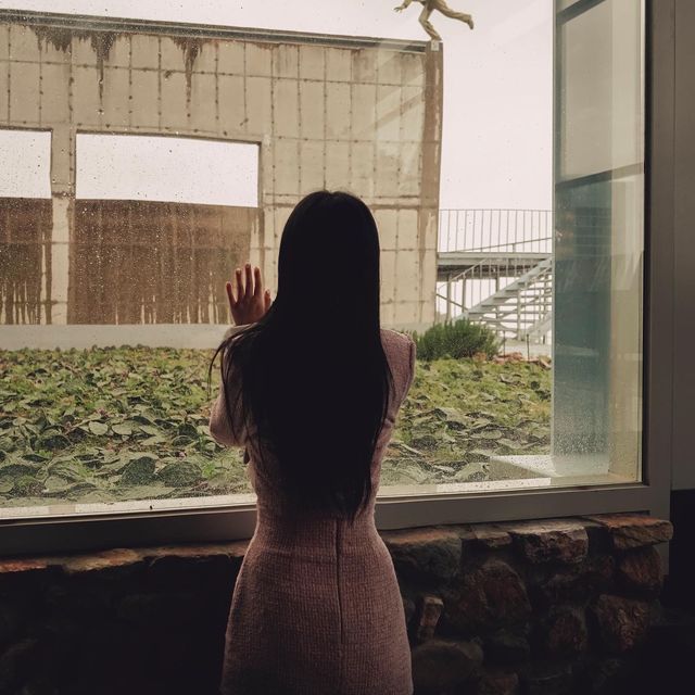 인생샷 남길수 있는 명소 하슬라아트월드