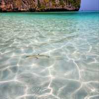 Ko Phi Phi Maya Bay Tour