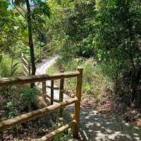 Quiet hike from Devil's Peak to Fisherman Village
