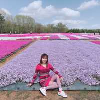 広島県　世羅　花夢の里