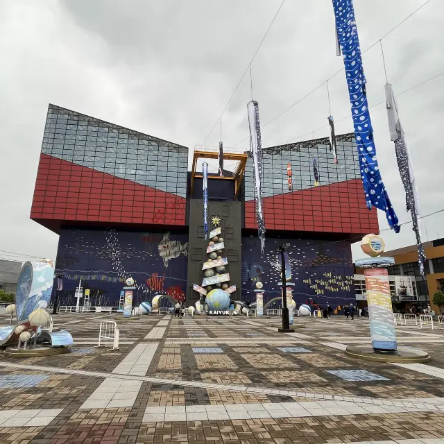 【大阪】関西屈指の巨大水族館🐠海遊館