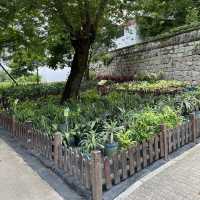 Luís de Camões Plant Nursery