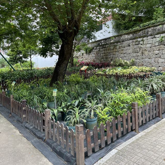 Luís de Camões Plant Nursery