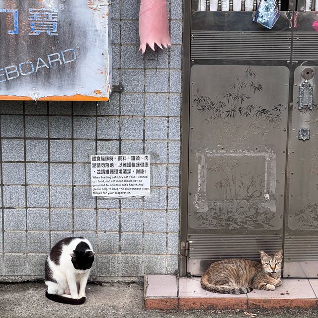 Houtong Cat Village 🐈