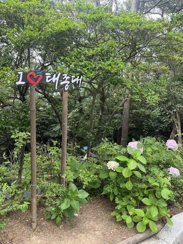 부산 산책하기 좋은 곳