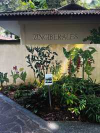 National Orchid Garden Escape