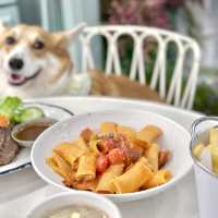 朗豪坊寵物友善餐廳🐶田園風cafe 