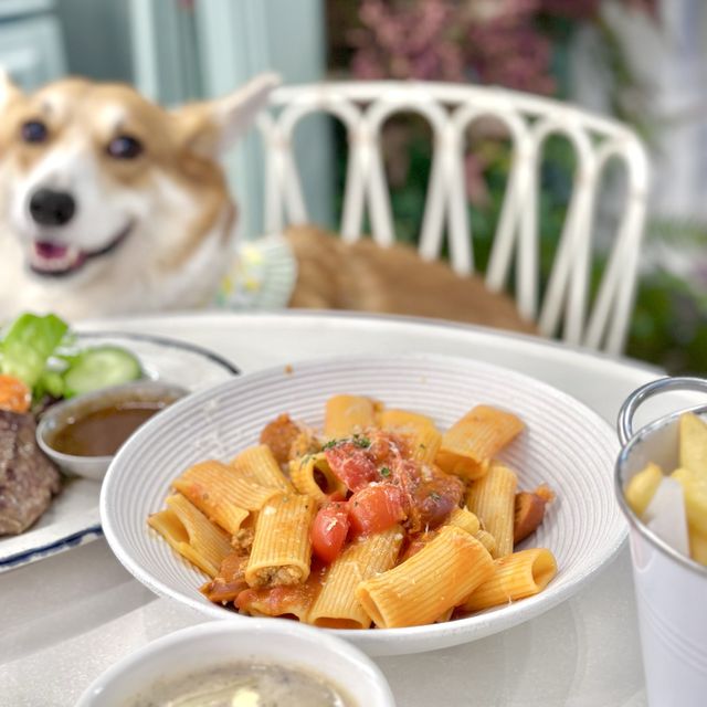 朗豪坊寵物友善餐廳🐶田園風cafe 
