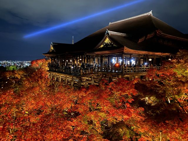 【京都】京都の定番スポット！外せない清水寺！