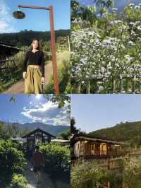 ไปเที่ยว Mori Natural Farm ที่เชียงใหม่กัน!🌳