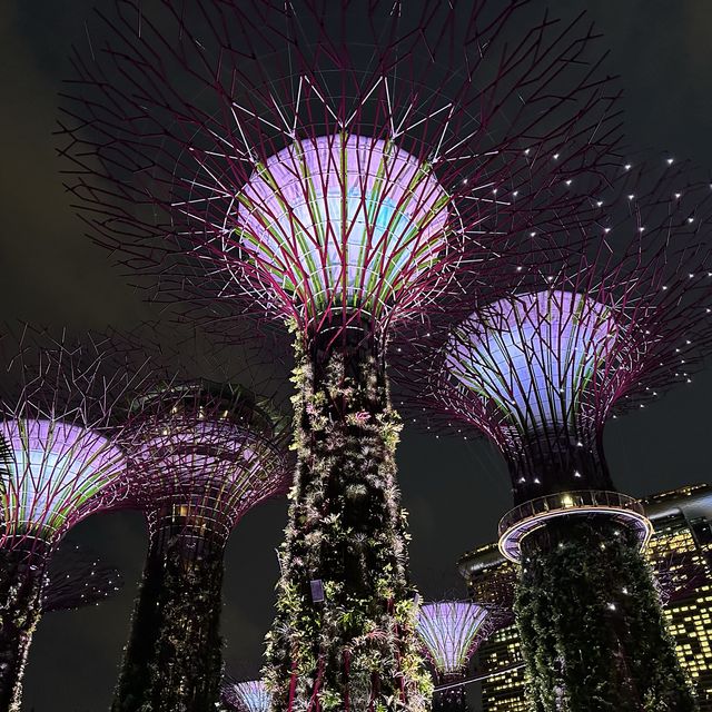 新加坡濱海灣花園壯觀Super Tree