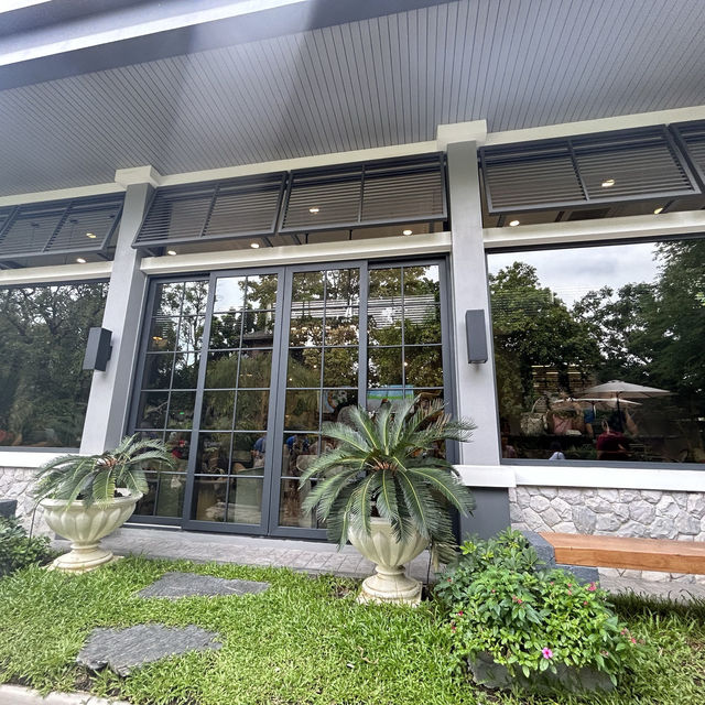 คาเฟ่เป็ดสำหรับเด็กๆ บรรยากาศชนะเลิศ