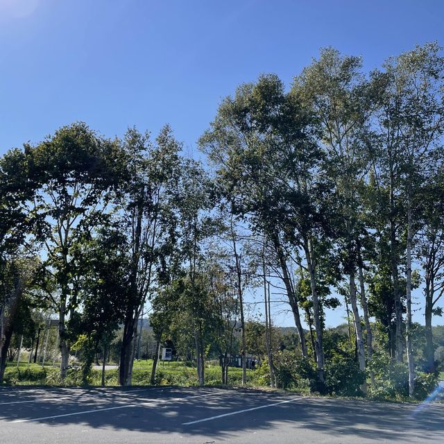 【北海道】人気店、レイクヒルファーム