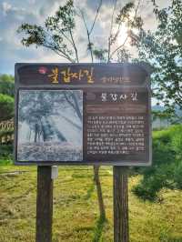 영광의 대표적인 여행지 불갑사 테마공원🌲