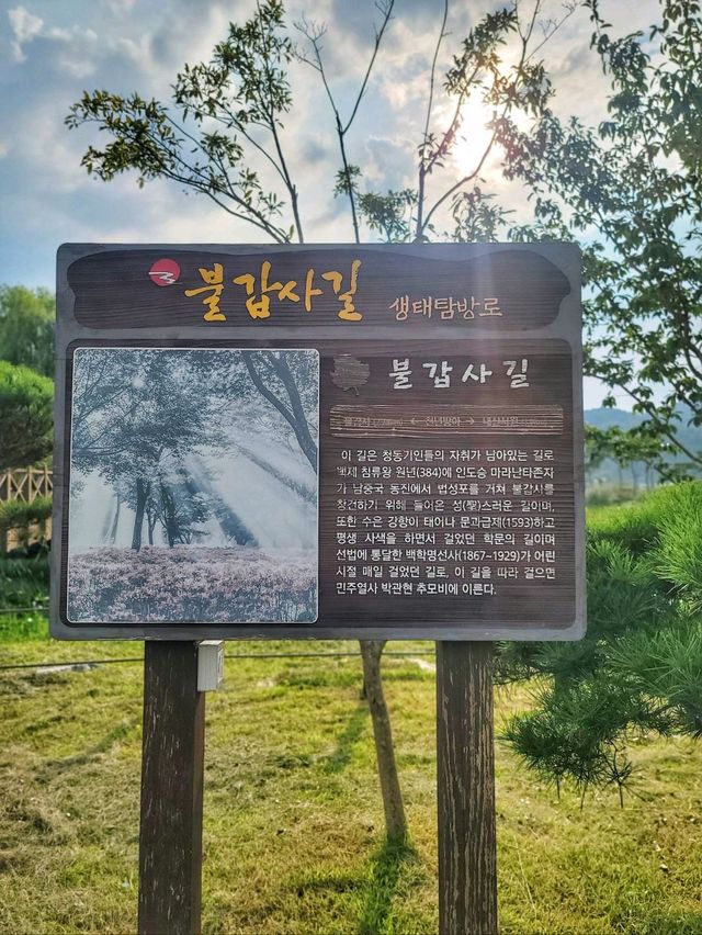 영광의 대표적인 여행지 불갑사 테마공원🌲