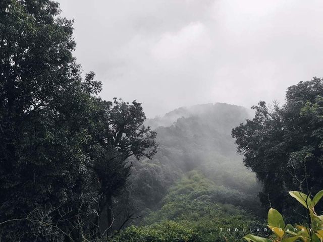 Mount LoiMi Trek: A Journey through Shan State