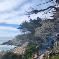 A unique scenic drive Monterey to Carmel, CA