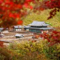 Beautiful Autumn View of Boeun Miniature Park