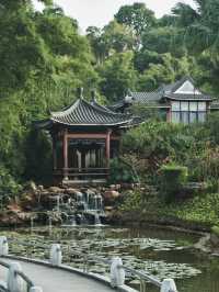 🌸🏞️💦 東莞人民公園～蓮花亭小橋流水🌸🏞️💦