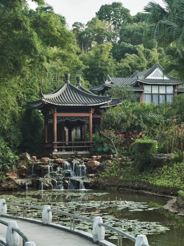 🌸🏞️💦 東莞人民公園～蓮花亭小橋流水🌸🏞️💦