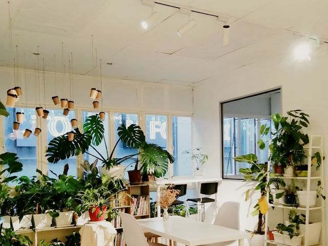 kita coffee