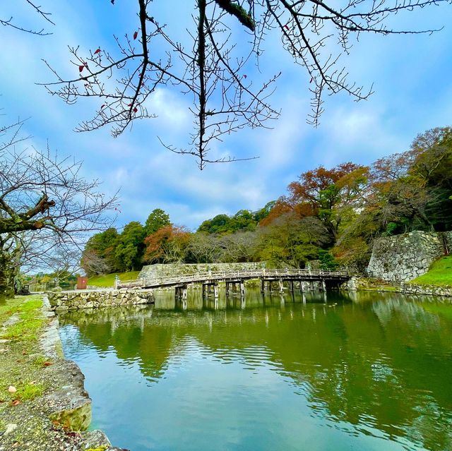 Hikone's Otemon: Gateway to History