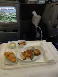 Lufthansa Business Class FRA-GRU