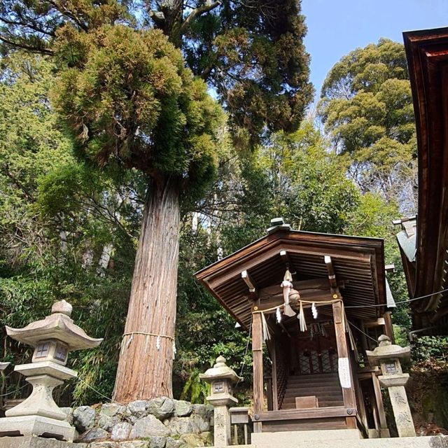 近江商賈守護神【日牟禮八幡宮】